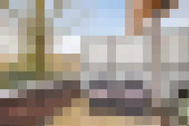De Schakel 49 Best thumbnail 28