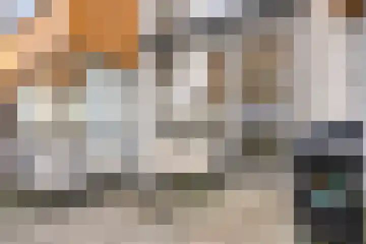 De Schakel 49 Best thumbnail 32