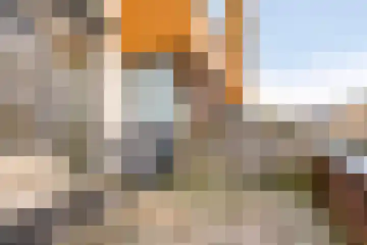 De Schakel 49 Best thumbnail 34