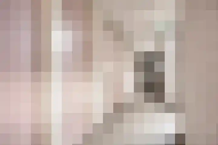 De Schakel 49 Best thumbnail 36