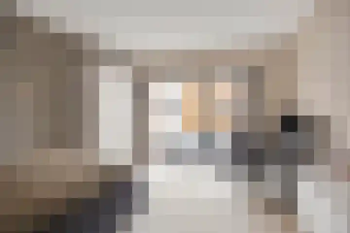 De Schakel 49 Best thumbnail 5