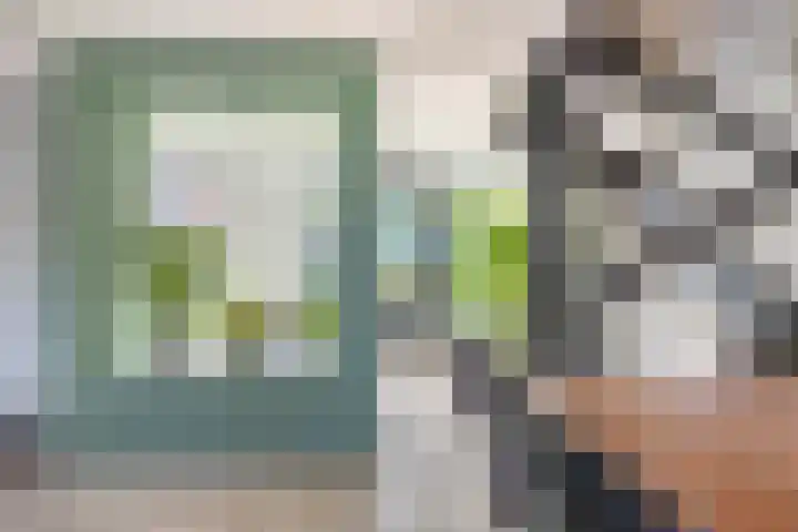De Schalm 22 Dronten thumbnail 10