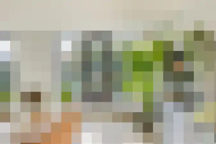De Schalm 22 Dronten thumbnail 15