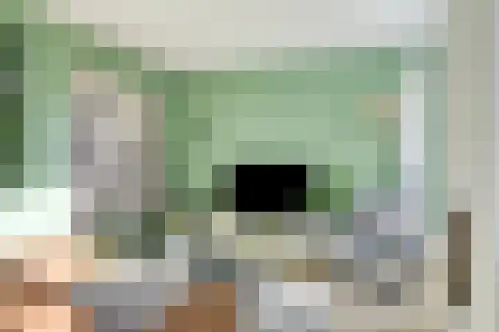 De Schalm 22 Dronten thumbnail 16