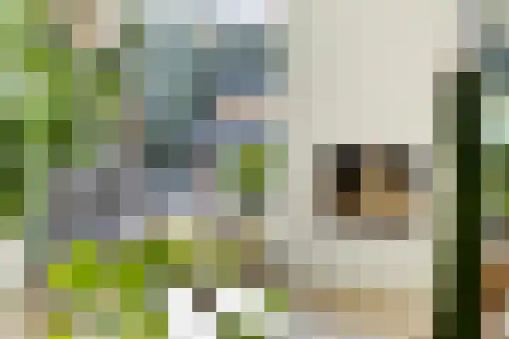 De Schalm 22 Dronten thumbnail 18