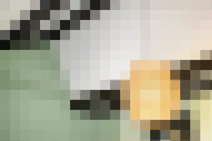 De Schalm 22 Dronten thumbnail 26