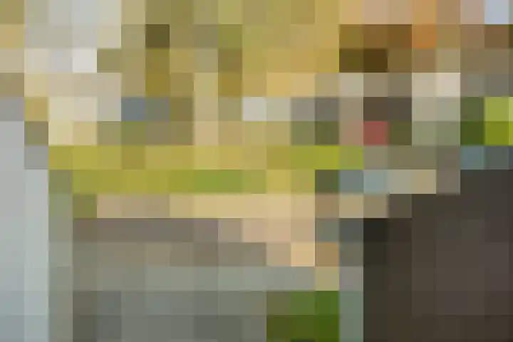 De Schalm 22 Dronten thumbnail 28