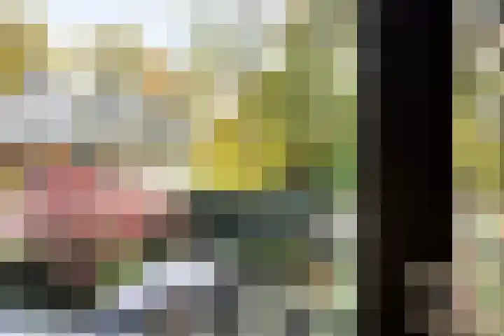 De Schalm 22 Dronten thumbnail 32
