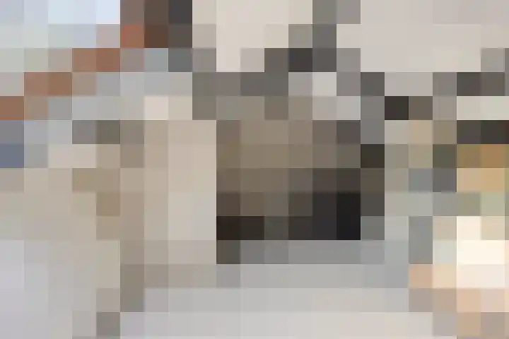 De Schalm 22 Dronten thumbnail 37