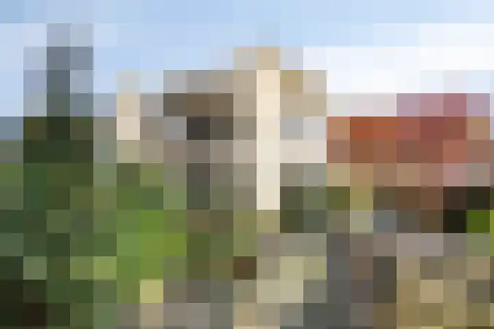 De Schalm 22 Dronten thumbnail 38
