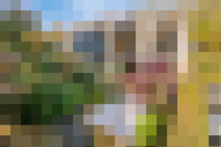 De Schalm 22 Dronten thumbnail 39