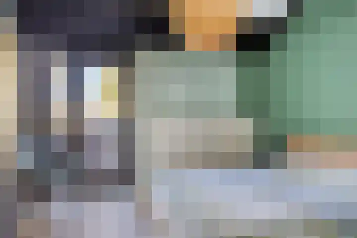 De Schalm 22 Dronten thumbnail 4