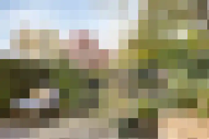 De Schalm 22 Dronten thumbnail 40