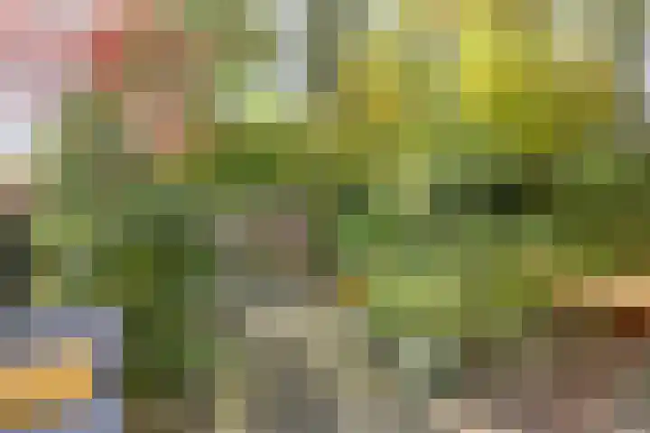 De Schalm 22 Dronten thumbnail 41