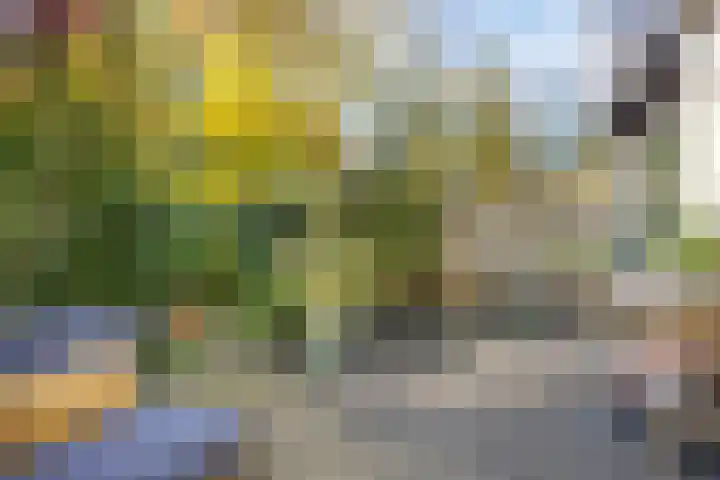 De Schalm 22 Dronten thumbnail 43