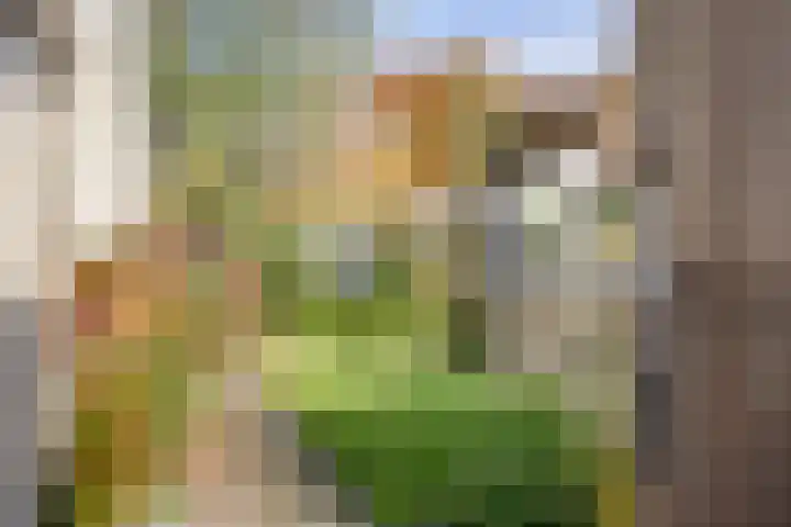 De Schalm 22 Dronten thumbnail 44