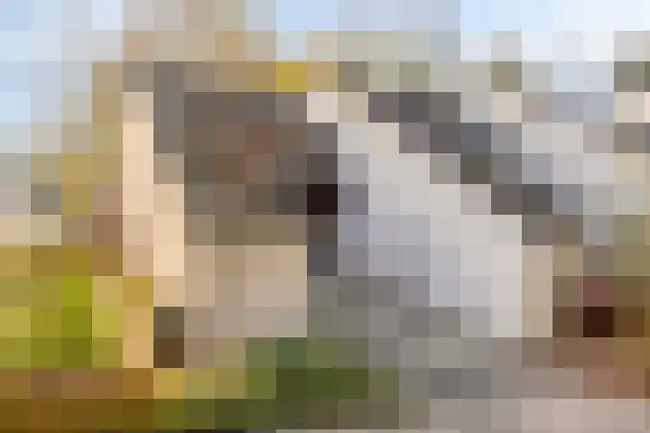 De Schalm 22 Dronten thumbnail 45