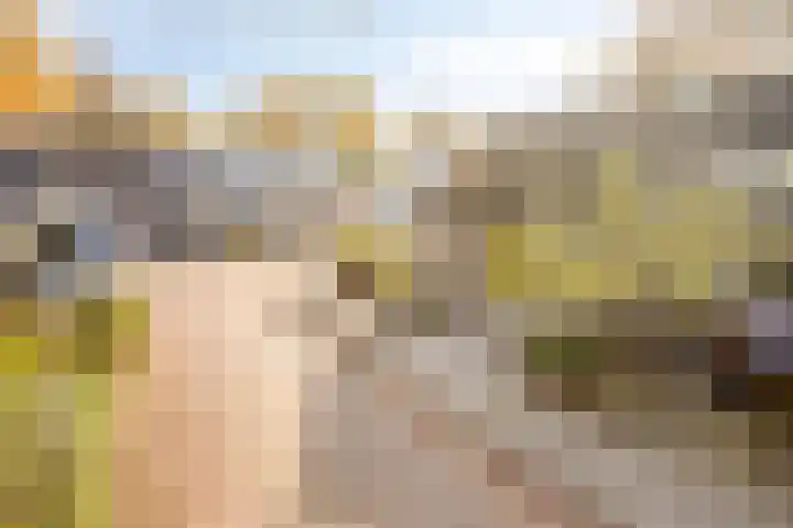 De Schalm 22 Dronten thumbnail 46