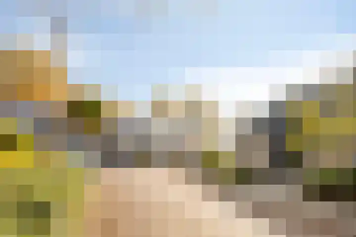 De Schalm 22 Dronten thumbnail 47