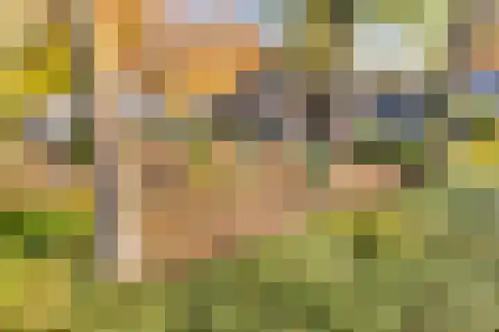 De Schalm 22 Dronten thumbnail 49
