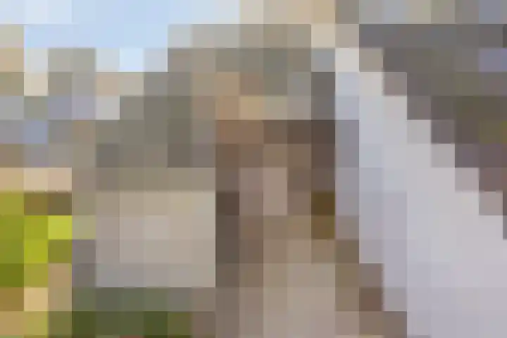 De Schalm 22 Dronten thumbnail 5