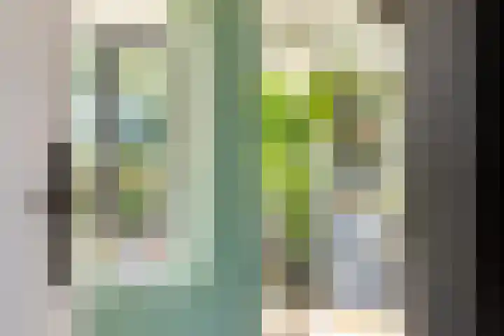 De Schalm 22 Dronten thumbnail 7