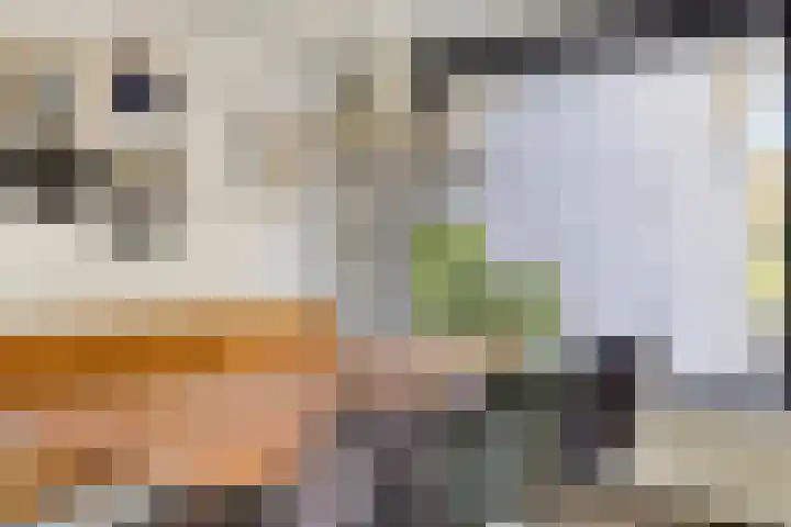 De Schalm 22 Dronten thumbnail 8