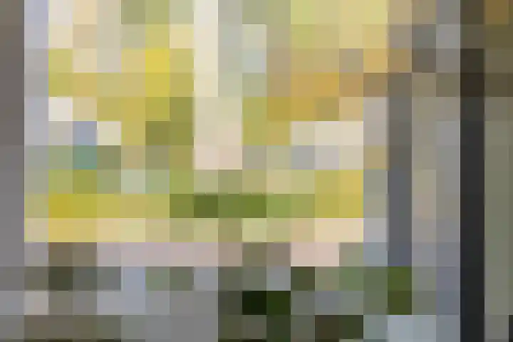 De Schalm 22 Dronten thumbnail 9