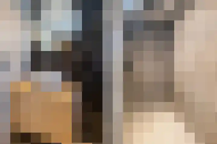 De Schalm 41 Dronten thumbnail 27