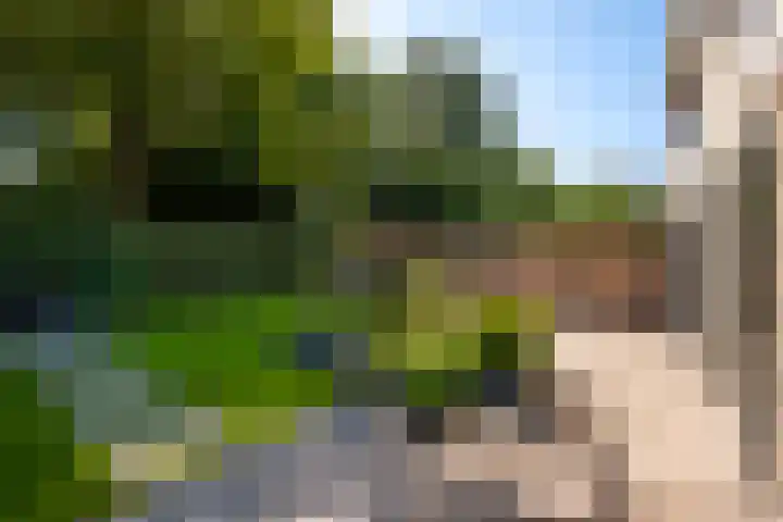 De Schalm 41 Dronten thumbnail 31