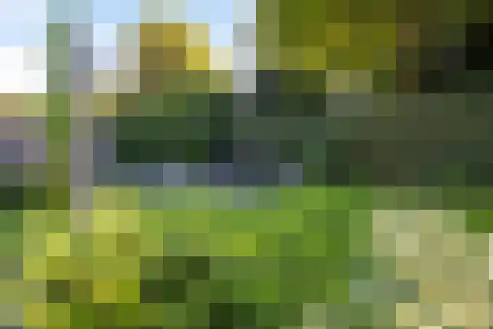 De Schalm 41 Dronten thumbnail 33