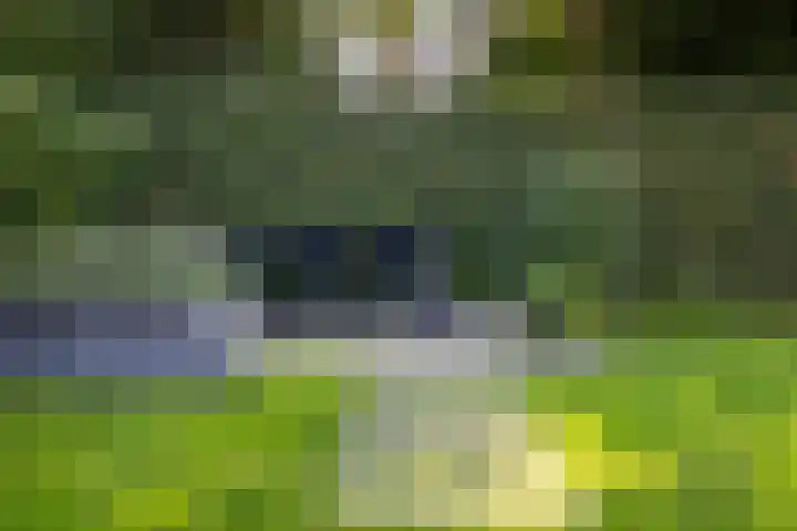De Schalm 41 Dronten thumbnail 34