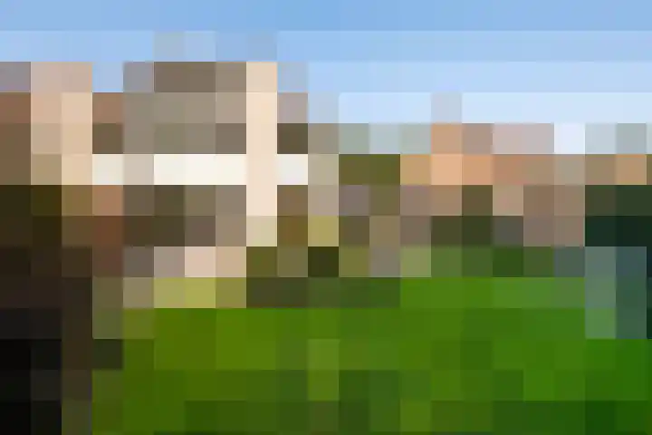 De Schalm 41 Dronten thumbnail 35