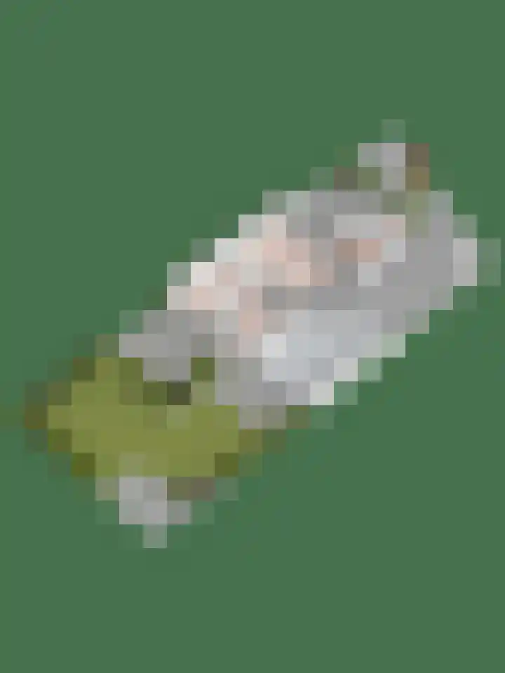 De Schalm 41 Dronten thumbnail 40