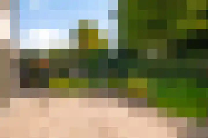 De Schalm 41 Dronten thumbnail 5