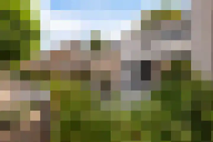 De Schalm 41 Dronten thumbnail 7