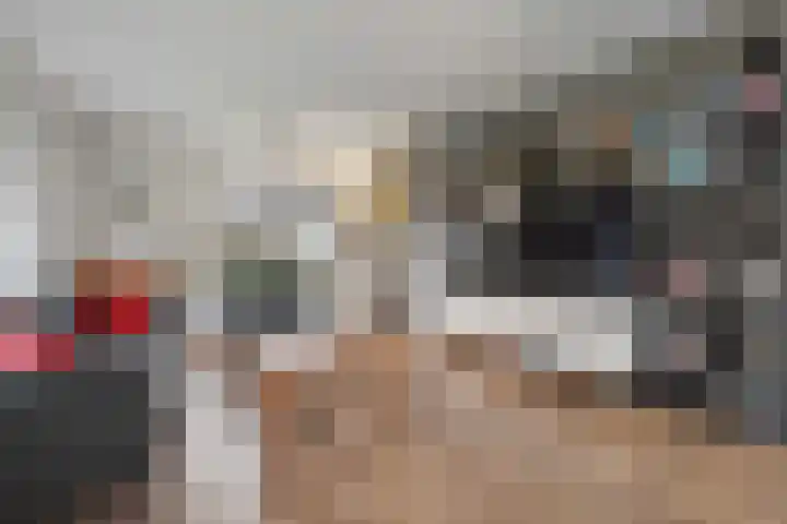 de Schammelte 6 Ommen thumbnail 13