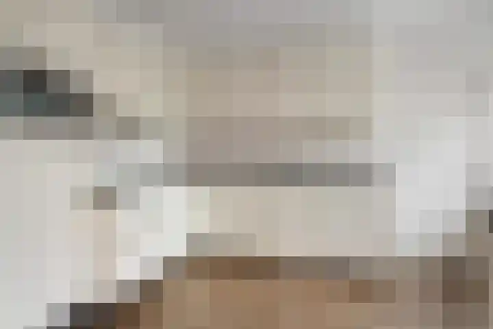 de Schammelte 6 Ommen thumbnail 18