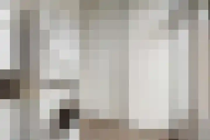 de Schammelte 6 Ommen thumbnail 21