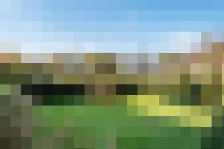 de Schammelte 6 Ommen thumbnail 36