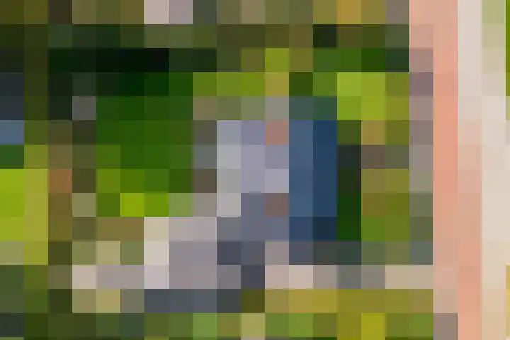 de Schammelte 6 Ommen thumbnail 40