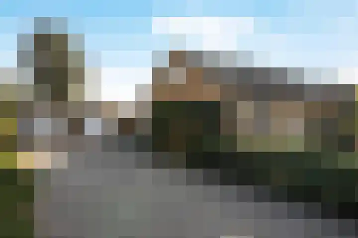 de Schammelte 6 Ommen thumbnail 6
