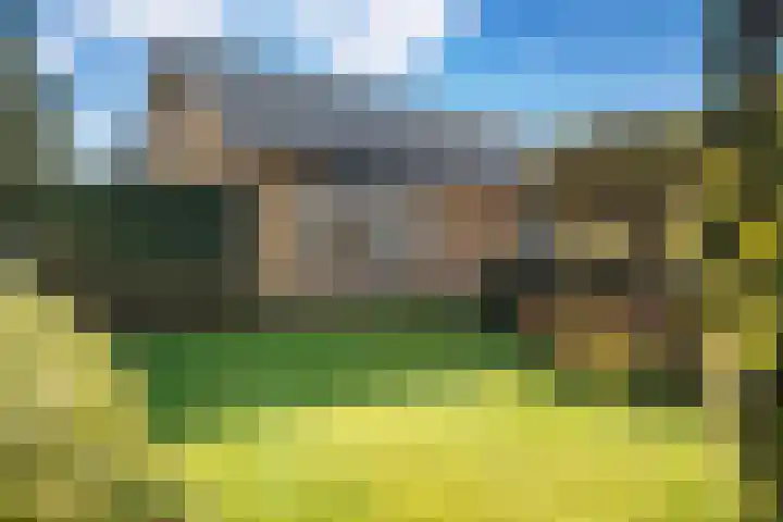 de Schammelte 6 Ommen thumbnail 8