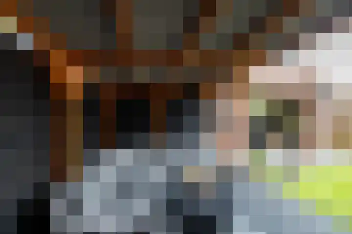 De Schans 10 Winsum thumbnail 25