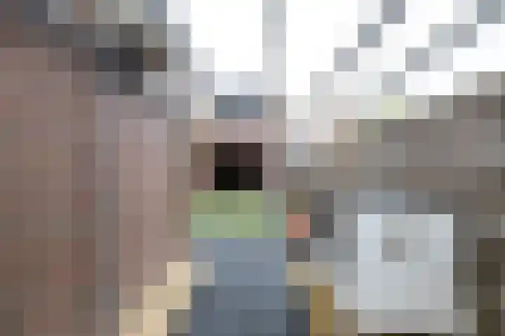 De Schans 10 Winsum thumbnail 26