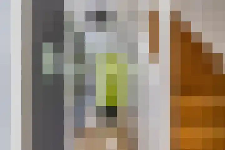 de Schans 17 a Leek thumbnail 25
