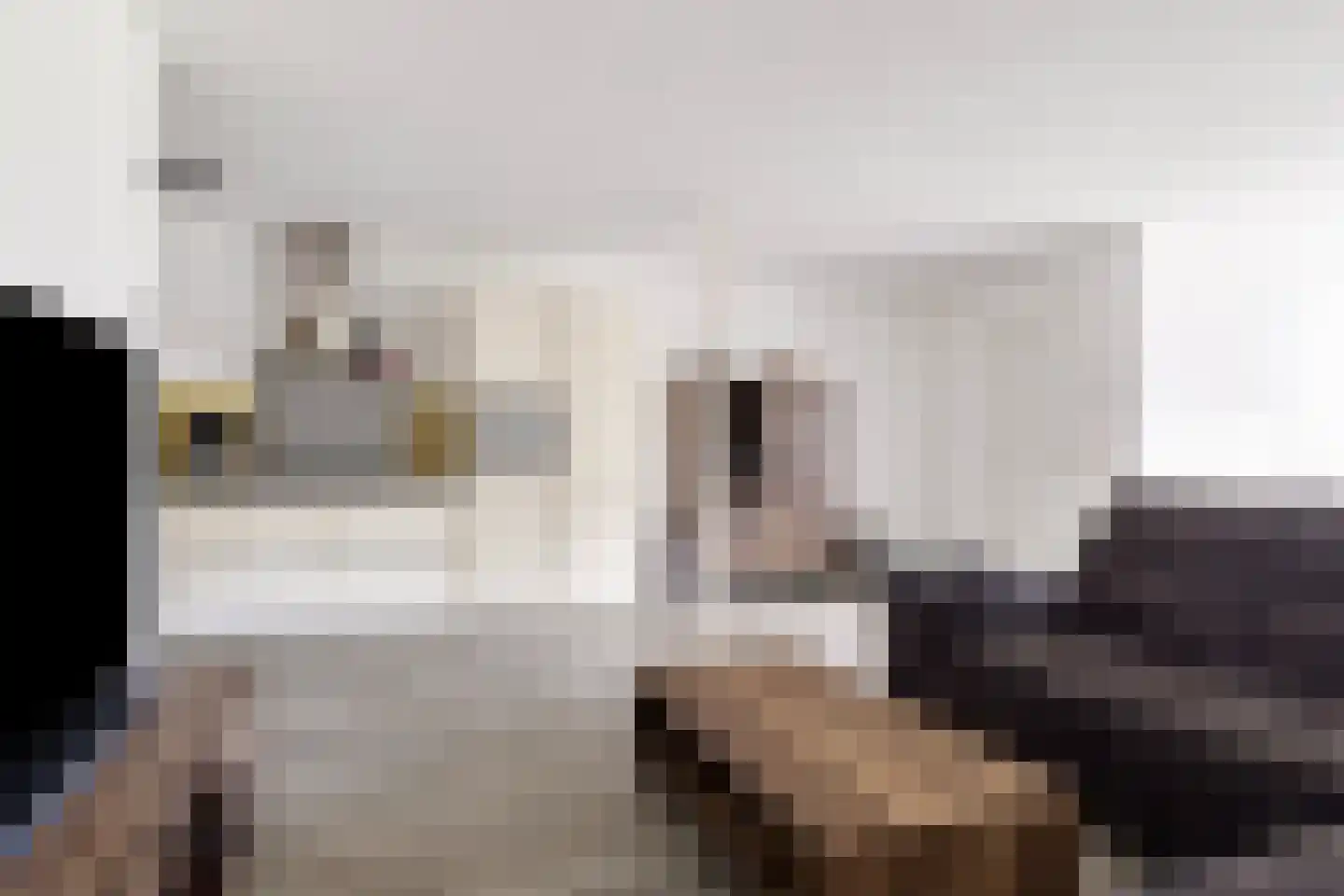 de Schans 17 a Leek thumbnail 5