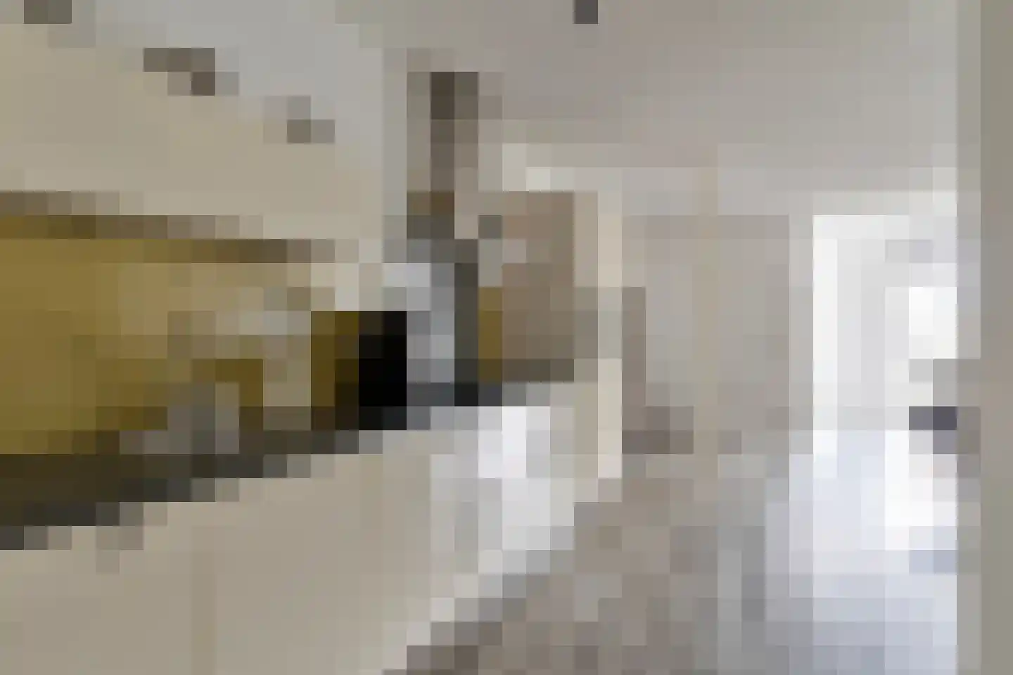 de Schans 17 a Leek thumbnail 8