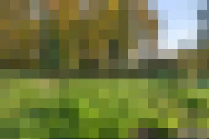 De Schans 17 Heeswijk-Dinther thumbnail 31