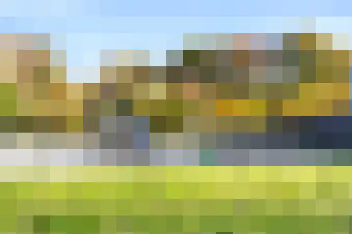 De Schans 17 Heeswijk-Dinther thumbnail 34
